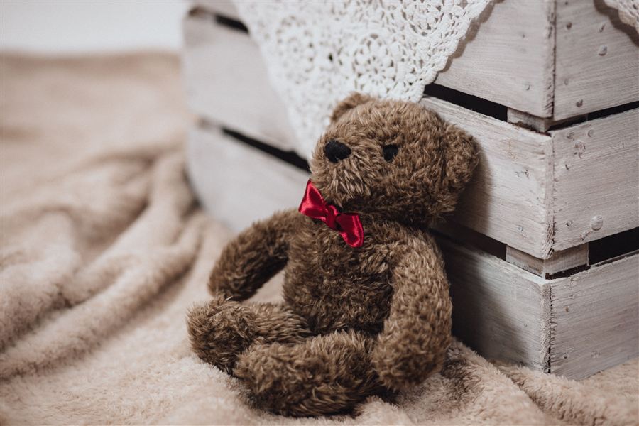 Ours en peluche
